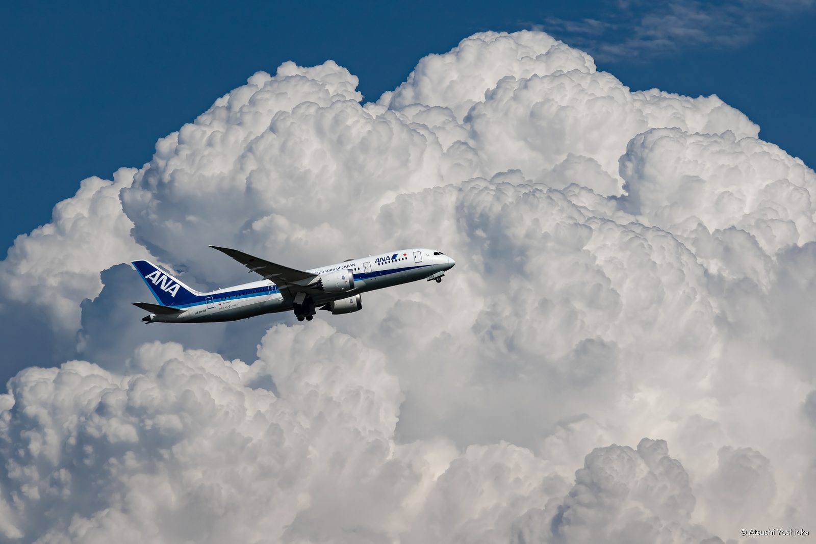 入道雲を背景に上昇するANAのボーイング787